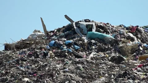 Garbage dump. People will take out the garbage.Uzhhorod. Ukraine - June 22, 2020 Vídeos de archivo 143908678