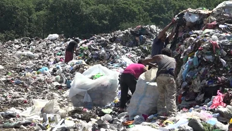 Garbage dump. People will take out the garbage.Uzhhorod. Ukraine - June 22, 2020 Vídeos de archivo 143908931