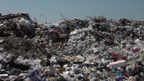 Garbage dump. People will take out the garbage.Uzhhorod. Ukraine - June 22, 2020 Vídeos de archivo 143909325