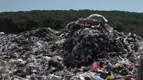 Garbage dump. People will take out the garbage.Uzhhorod. Ukraine - June 22, 2020 Vídeos de archivo 143909629