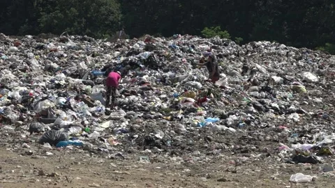 Garbage dump. People will take out the garbage.Uzhhorod. Ukraine - June 22, 2020 Vídeos de archivo 143909965