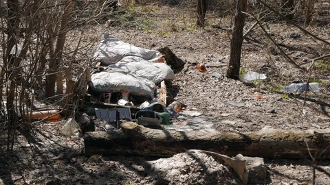 Garbage dump in a pine forest. Environmental pollution. Concept of an Stock Footage 130077190