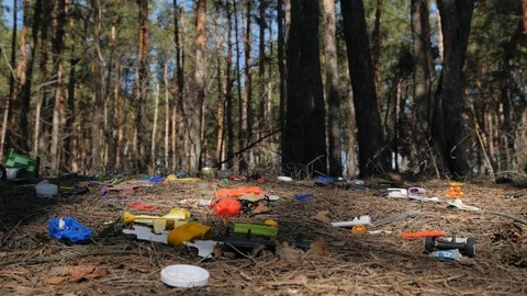 Garbage dump in a pine forest. Environmental pollution. Concept of an Stock Footage 130077211