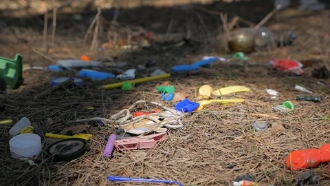 Garbage dump in a pine forest. Environmental pollution. Concept of an Stock Footage 130077236