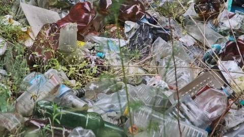 Garbage Dump of Plastic and Bottles in the Forest Stock Footage 251335637
