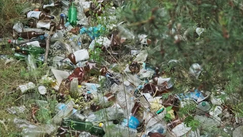 Garbage Dump of Plastic and Bottles in the Forest, Human Pollution of Nature Stock Footage 253384441