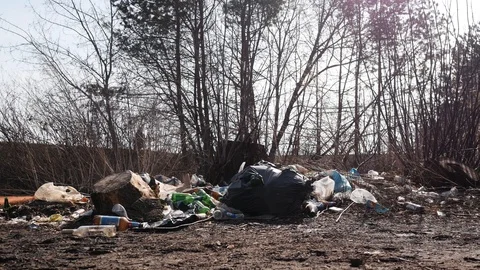 Garbage dump plastic bags, bottles, glasses next to hemp Stock Footage 127386989