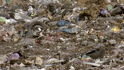 A garbage dump pollutes the environment Stock Footage 81623873