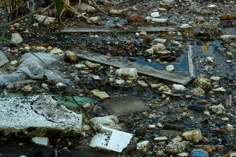 Garbage dump in pond. City dump on the territory of the river. Environmental  写真素材