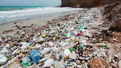 Garbage dump on the sea beach.  Stock Footage 167942290