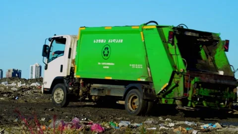 Garbage dump. Skyscrapers, cows walk and graze. Video stock 164316699