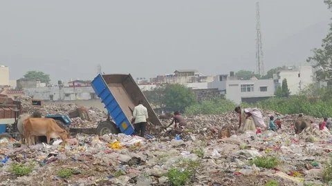 Garbage dump. Slow motion dolly shot Stock Footage 82923021