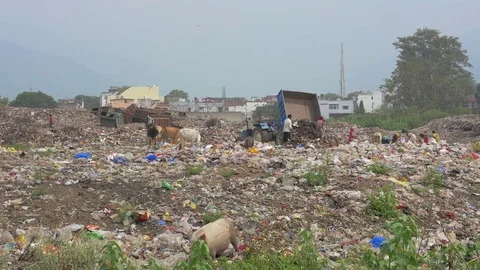 Garbage dump. Slow motion dolly shot Stock Footage 82923025