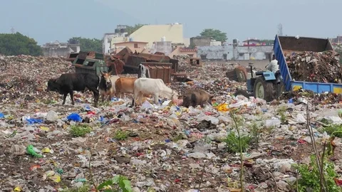 Garbage dump. Slow motion dolly shot Stock Footage 82923026