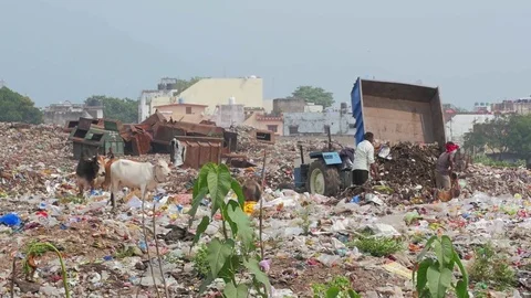 Garbage dump. Slow motion dolly shot Stock Footage 82923033