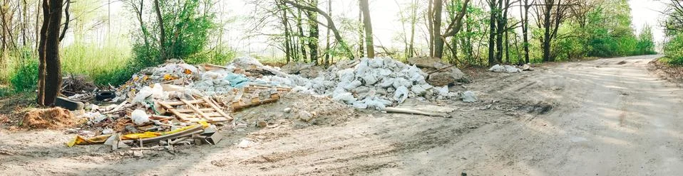 Garbage dump in the spring forest Foto stock