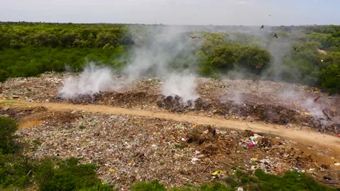 A garbage dump in Sri Lanka. Stock Footage 168969299