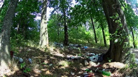 Garbage dump on sunny meadow in the forest, summer sunny day, light breeze Stock Footage 66261072