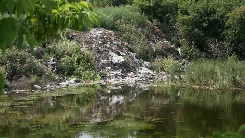 Garbage dump on the swamp Stock Footage 115329527