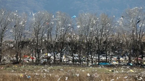 Garbage dump with a tree line and trash in the trees 库存影片 123970714