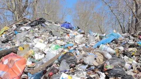 Garbage dump, trees and sky background. Environmental pollution Video stock 74987488