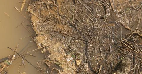 Garbage dump in a Water Stock Photos