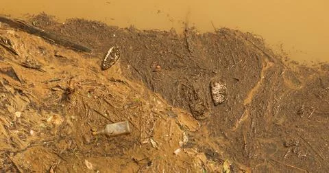 Garbage dump in a Water Stock Photos
