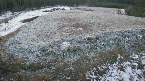 Garbage dump in a wooded area Stock-Footage 226539243