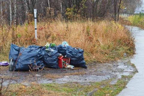 Garbage dump in the woods. It's an environmental problem. Stock Photos