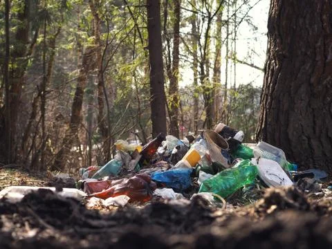 Garbage dump in the woods Stock Photos