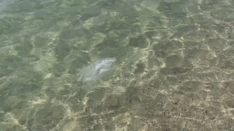 Garbage dumped at the beach Stock Footage 163147813