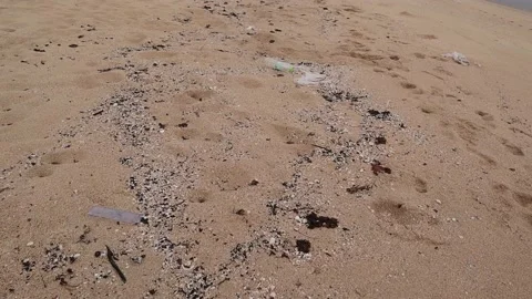 Garbage dumped at the beach Stock Footage 163147885