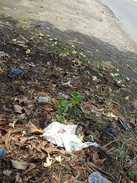 Garbage dumped on the side of a small road. Stock Photos