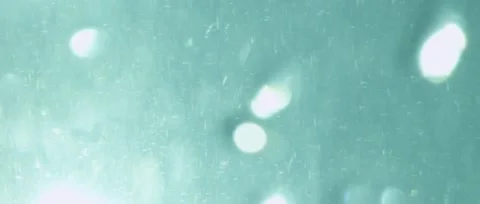 Garbage Dust in The Water 1 Stockbeeldmateriaal 44644152