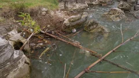 Garbage on the edge of the lake Video stock 307415521