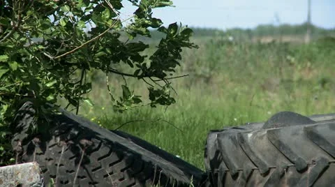 Garbage on field Stock Footage 11411824