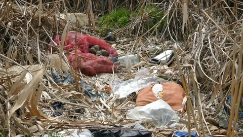 Garbage In The Field Stock Footage 88184184
