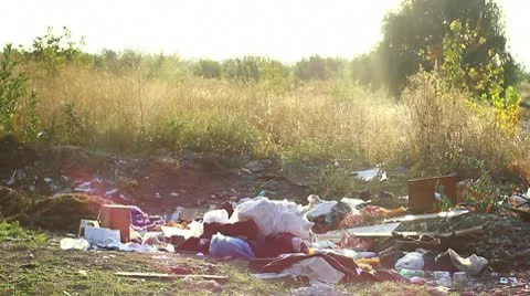 Garbage in field. Illegal dumping Stock Footage 10559423