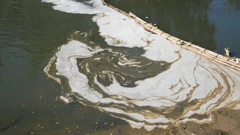 Garbage floating and polluting on water surface Stock Footage 113294252