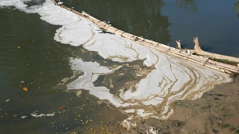 Garbage floating and polluting on water surface Stock Footage 113294603