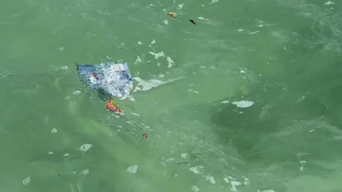 Garbage floating in the ocean Stock Footage 333486833