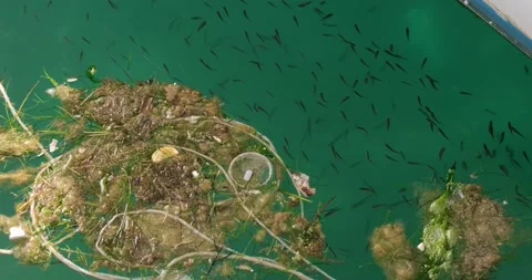 Garbage floating on sea surface, water pollution concept. Stock Footage 154003195