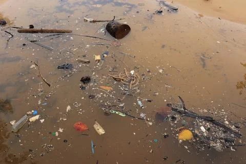 Garbage floating in sea water by beach, dirty sea pollution Stock Photos