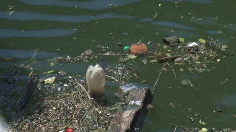 Garbage floating on water surface, water pollution Stock Footage 54240961