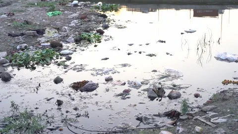 Garbage floating on Yamuna River water surface at Kalindi Kunj Ghat in Stock Footage 280569063