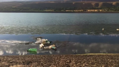 Garbage floats on a clean river Stock Footage 137821056