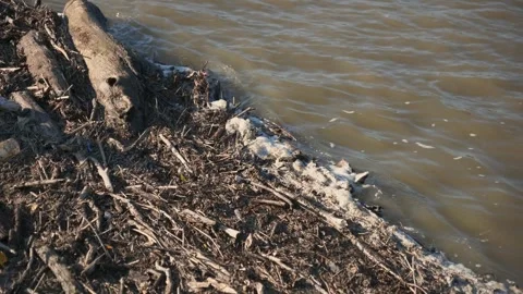 Garbage floats on the river 4kUHD 25fps Stock Footage 256179066