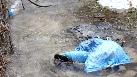 Garbage floats on a small river Stock Footage 104090640