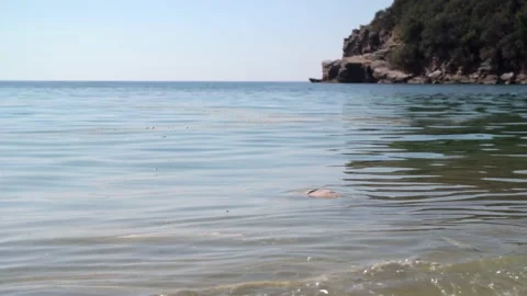 Garbage floats on surface of pond in muddy, dirty water. Overabundance of Video stock 156875932
