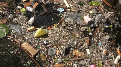 Garbage floats in water Stock Footage 41766291
